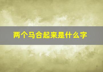 两个马合起来是什么字