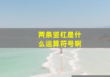 两条竖杠是什么运算符号啊