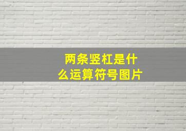 两条竖杠是什么运算符号图片