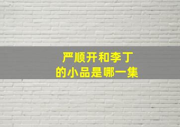 严顺开和李丁的小品是哪一集