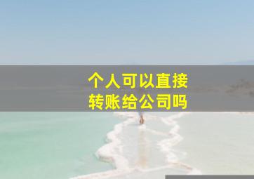 个人可以直接转账给公司吗