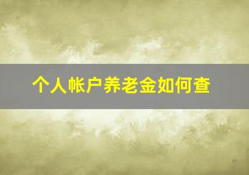 个人帐户养老金如何查