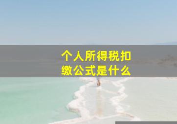 个人所得税扣缴公式是什么