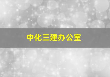 中化三建办公室