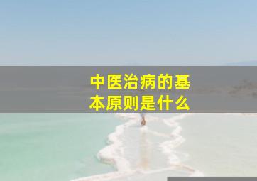 中医治病的基本原则是什么