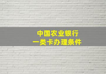 中国农业银行一类卡办理条件