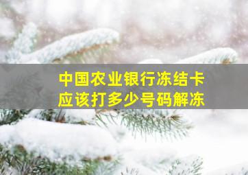 中国农业银行冻结卡应该打多少号码解冻