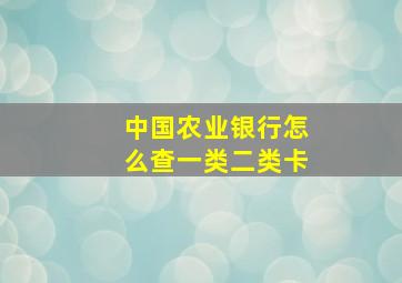 中国农业银行怎么查一类二类卡