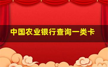 中国农业银行查询一类卡