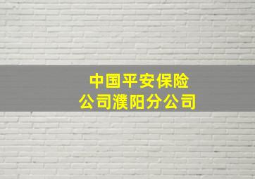 中国平安保险公司濮阳分公司