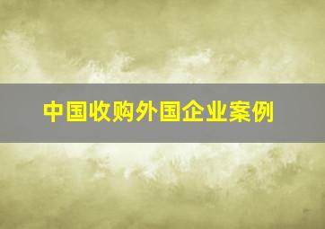 中国收购外国企业案例