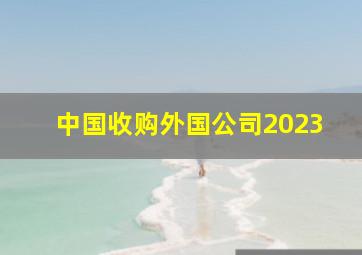 中国收购外国公司2023