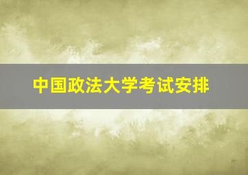 中国政法大学考试安排