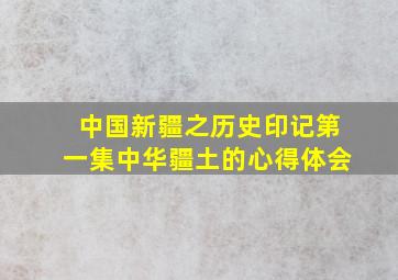 中国新疆之历史印记第一集中华疆土的心得体会