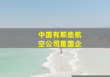 中国有那些航空公司是国企