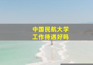 中国民航大学工作待遇好吗