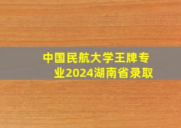 中国民航大学王牌专业2024湖南省录取