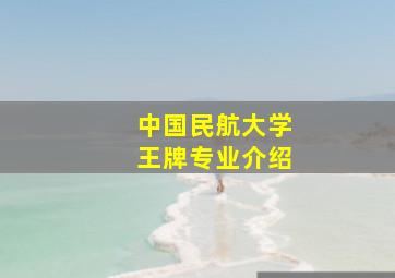 中国民航大学王牌专业介绍