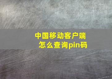 中国移动客户端怎么查询pin码