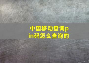 中国移动查询pin码怎么查询的