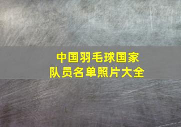 中国羽毛球国家队员名单照片大全