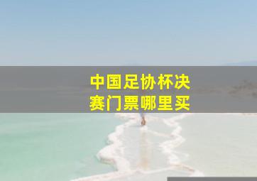 中国足协杯决赛门票哪里买