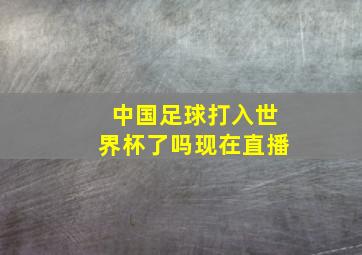 中国足球打入世界杯了吗现在直播