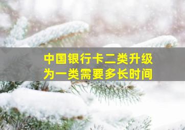 中国银行卡二类升级为一类需要多长时间