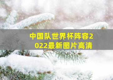 中国队世界杯阵容2022最新图片高清