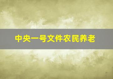 中央一号文件农民养老