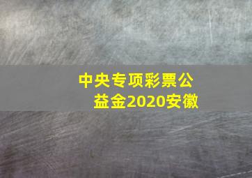 中央专项彩票公益金2020安徽