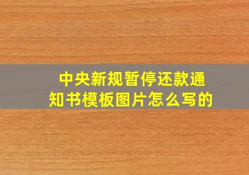 中央新规暂停还款通知书模板图片怎么写的