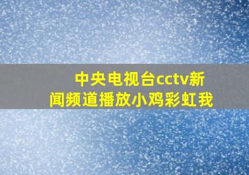 中央电视台cctv新闻频道播放小鸡彩虹我