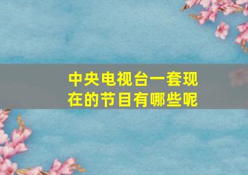 中央电视台一套现在的节目有哪些呢