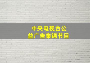 中央电视台公益广告集锦节目