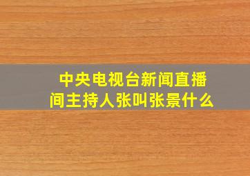 中央电视台新闻直播间主持人张叫张景什么