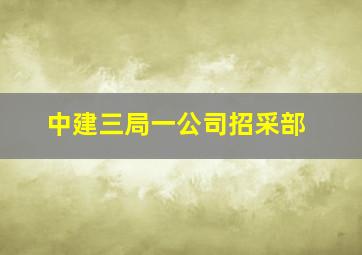 中建三局一公司招采部