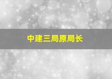 中建三局原局长