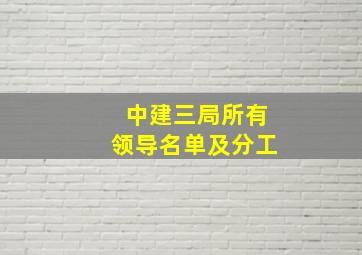 中建三局所有领导名单及分工