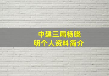 中建三局杨晓明个人资料简介