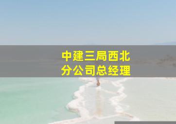 中建三局西北分公司总经理