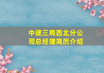 中建三局西北分公司总经理简历介绍