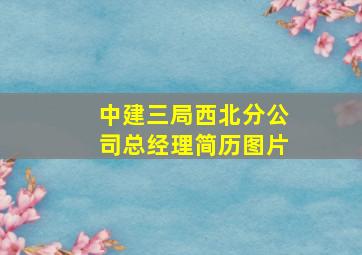 中建三局西北分公司总经理简历图片