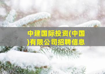 中建国际投资(中国)有限公司招聘信息