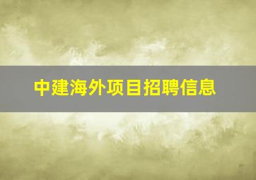 中建海外项目招聘信息