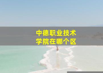 中德职业技术学院在哪个区