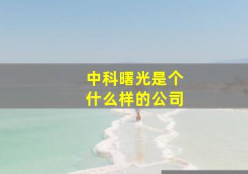 中科曙光是个什么样的公司