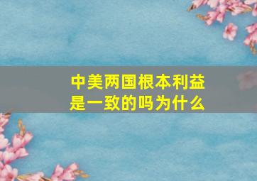 中美两国根本利益是一致的吗为什么