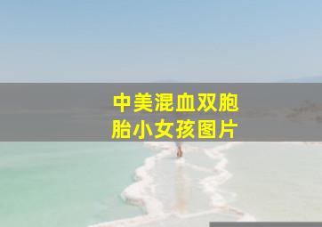 中美混血双胞胎小女孩图片