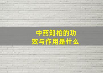 中药知柏的功效与作用是什么